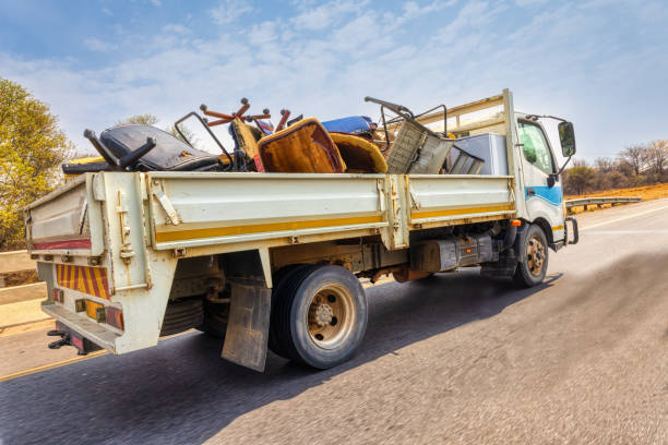 Yard Cleanup Services in University Center, VA